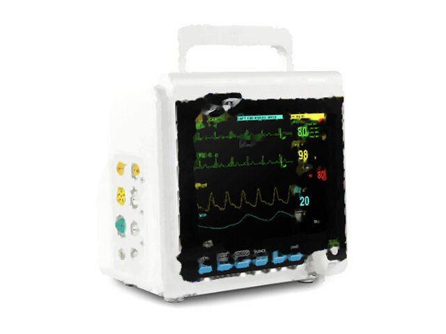 Multi-parameter patient monitor